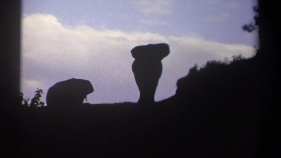 Kenya 1969 8mm frame with two elephants silhouetted against sky, the smaller low and the larger upright.