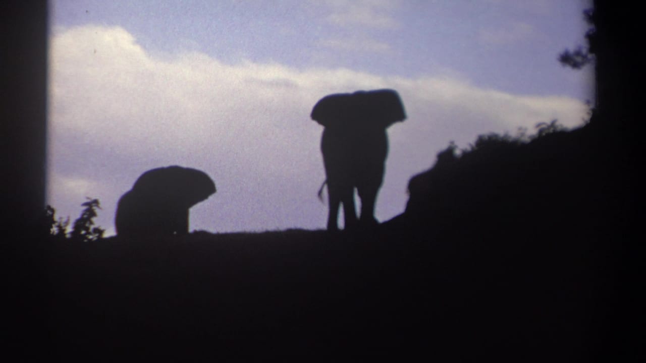 Two elephant silhouettes stand on a dark ridgeline beneath a cloudy sky.