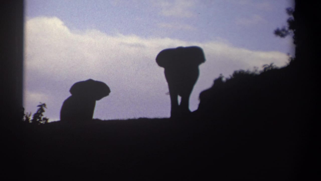The 1969 Kenya home-movie frame shows two elephant silhouettes spaced apart on a ridge below a pale blue, cloudy sky.