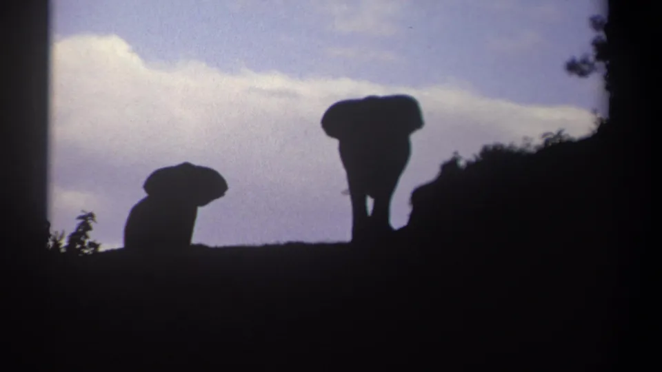 The 1969 Kenya home-movie frame shows two elephant silhouettes spaced apart on a ridge below a pale blue, cloudy sky.