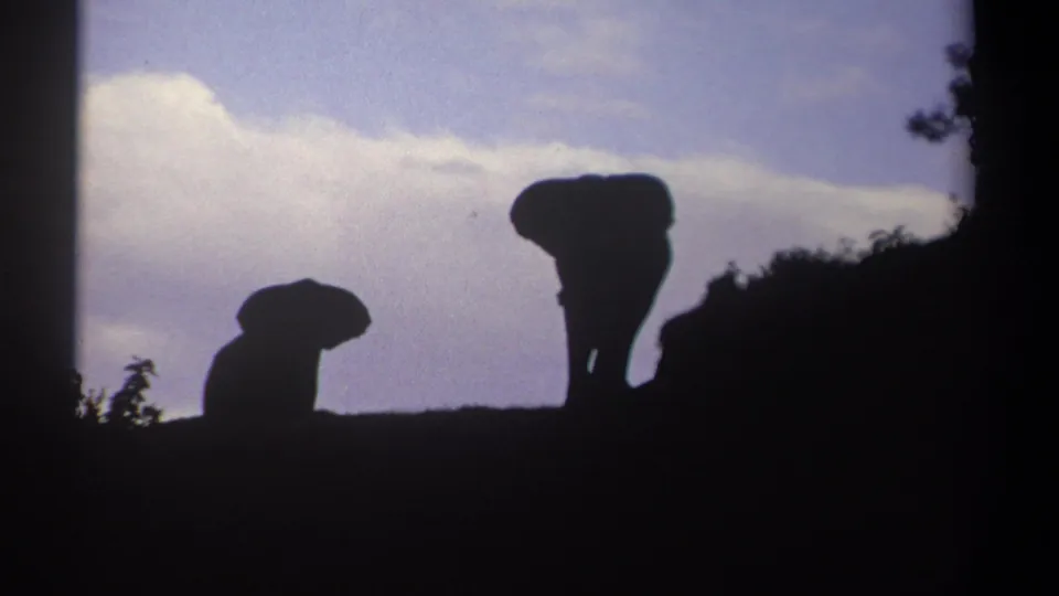 In this Kenya 1969 frame, two elephants appear in silhouette, with the smaller one low at left and the larger one standing near center.