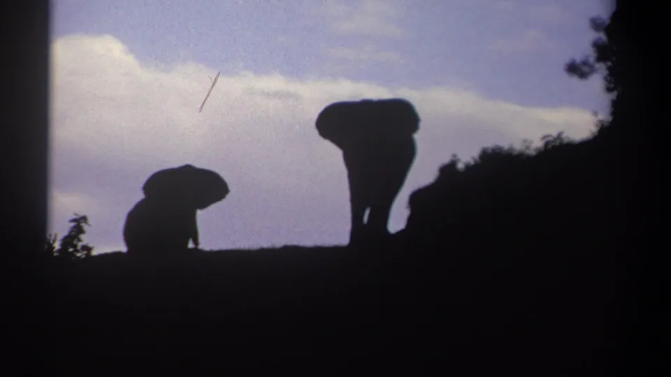 The final frame shows two silhouetted elephants in Kenya, one low at left and one taller at right, against a bright 1969 home-movie sky.