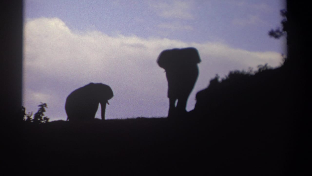 Two elephant silhouettes on a hilltop beneath a cloudy blue sky.