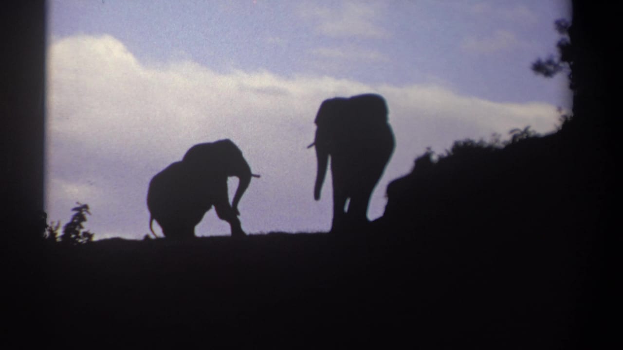 1969 Kenya 8mm frame with a smaller elephant and larger elephant silhouetted on a hilltop against pale clouds.