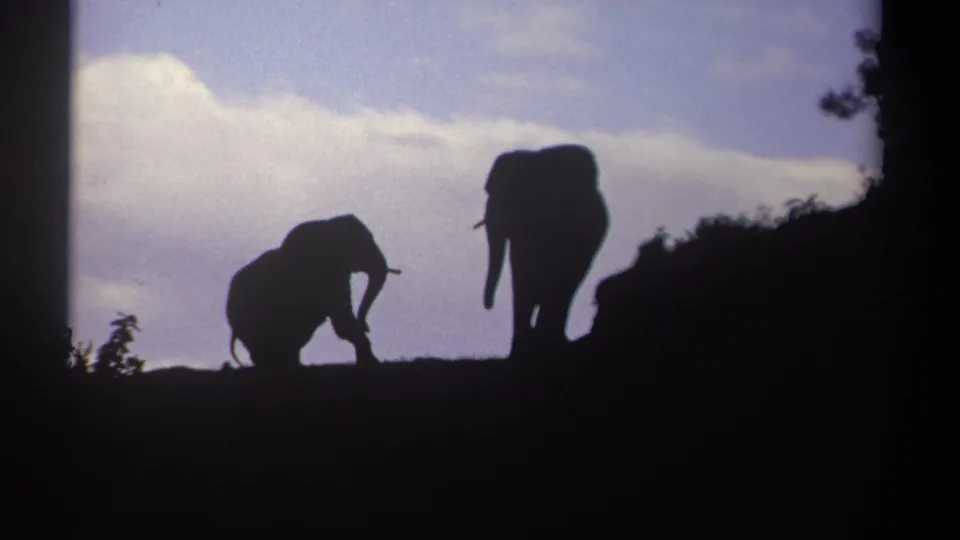 1969 Kenya 8mm frame with a smaller elephant and larger elephant silhouetted on a hilltop against pale clouds.