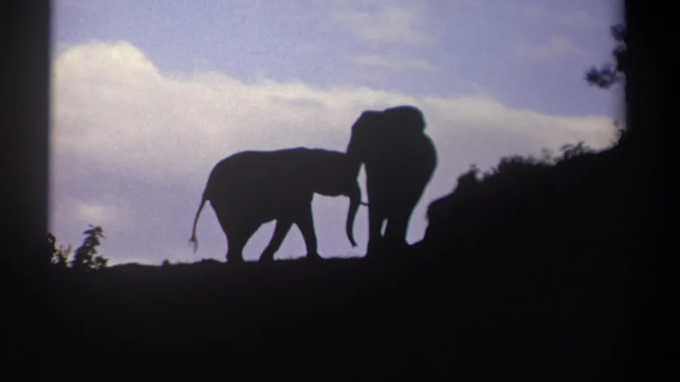1969 Kenya 8mm frame with two elephant silhouettes meeting on a hilltop against a cloudy sky.