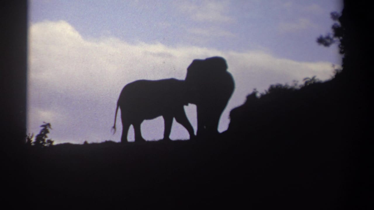 Two elephants silhouetted on a ridge against a cloudy sky.