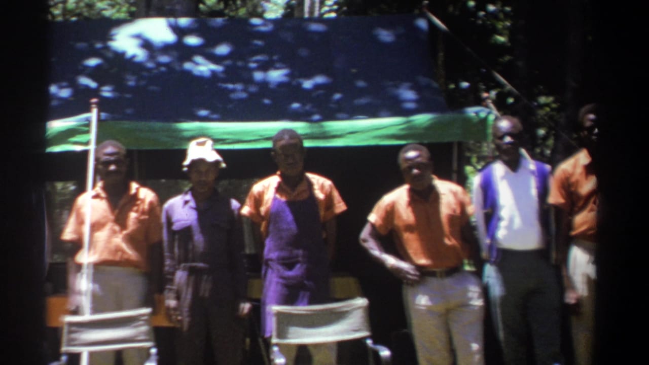 Several adult men stand beneath a blue and green tarp in a wooded area.