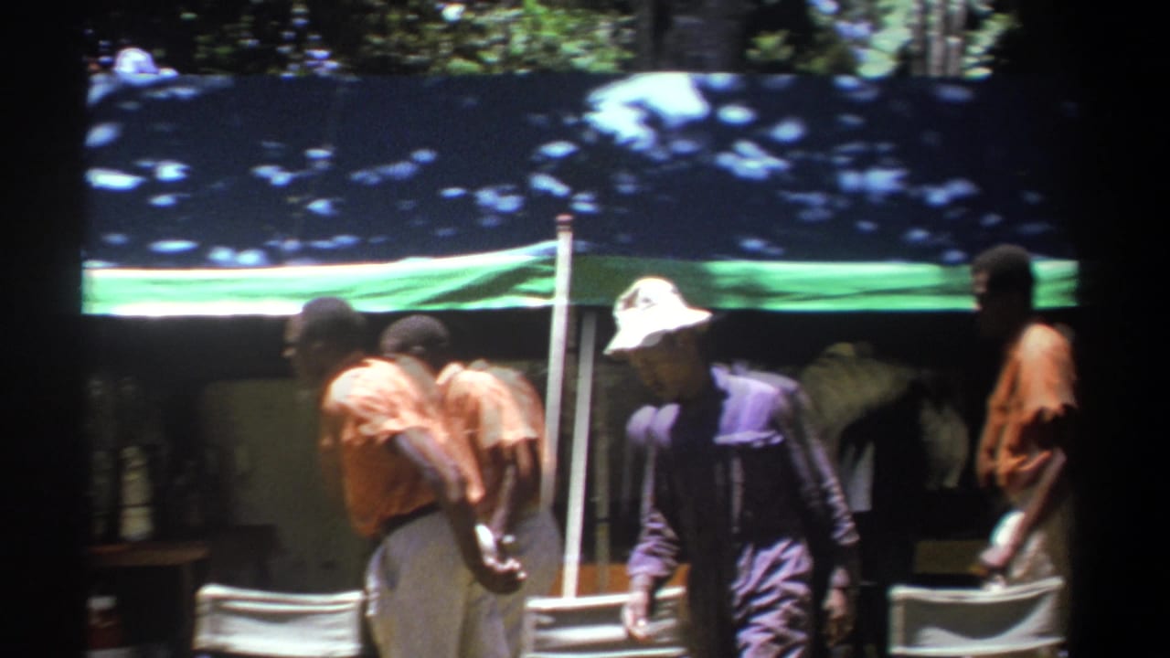 Men in orange shirts and light trousers walk past a tarp-covered tent in a wooded area.