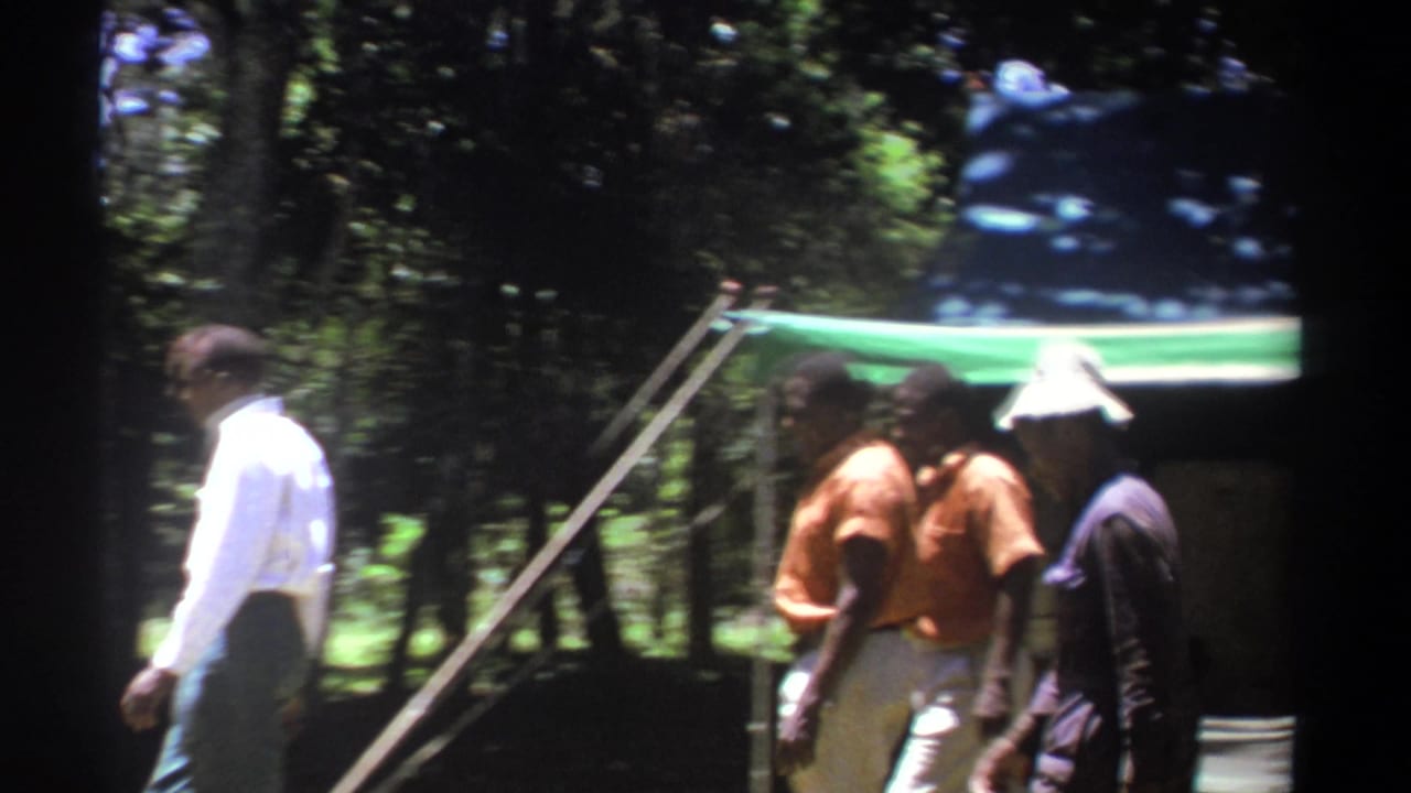 A man in a white shirt walks near several men beside a tarp structure in the trees.