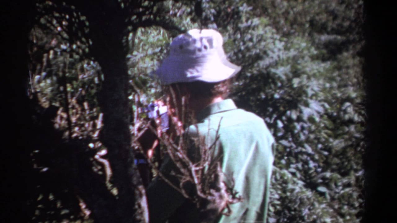 Man in a pale bucket hat and green shirt standing among dense trees and branches.