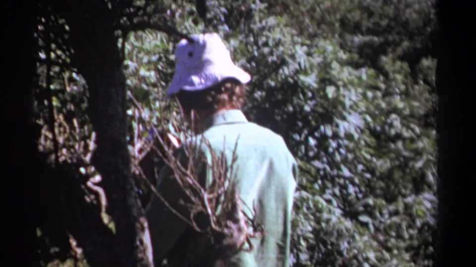 1969 Kenya 8mm frame showing the man from behind in a bucket hat, surrounded by dense forest vegetation.