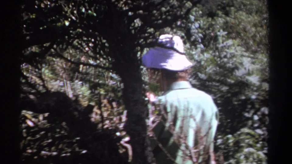1969 Kenya 8mm frame of the same man partly obscured by branches while standing in dense forest growth.
