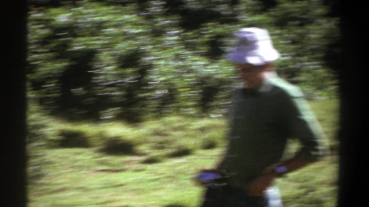 Blurred man in a white hat moving through a sunlit green clearing.