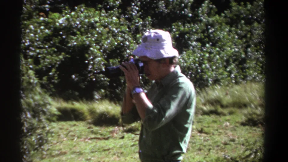 In 1969 Kenya footage, the man lifts a compact still camera to his eye while standing in a sunlit forest clearing.
