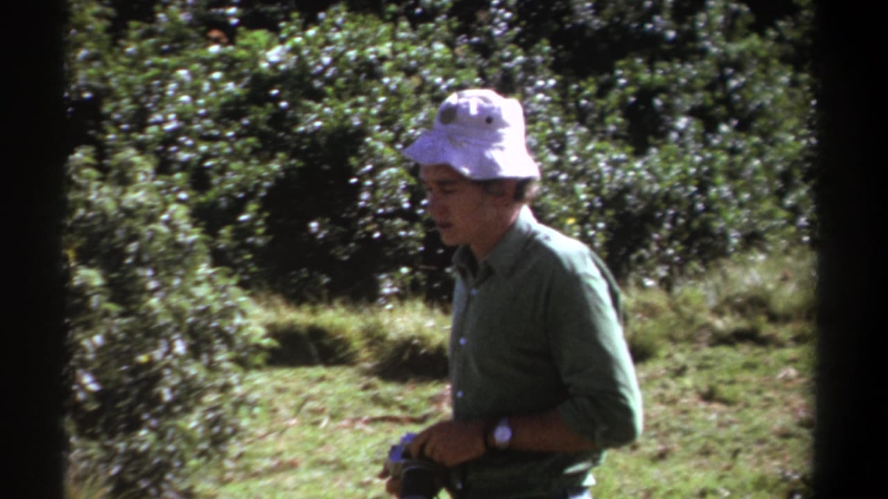 Man in a white bucket hat and green shirt holds a camera beside sunlit shrubs.