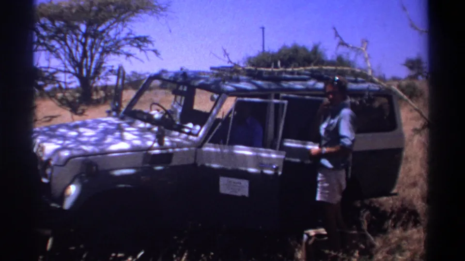 A standing adult appears beside a safari vehicle in Kenya, suggesting the observer's vantage after the buffalo sequence.