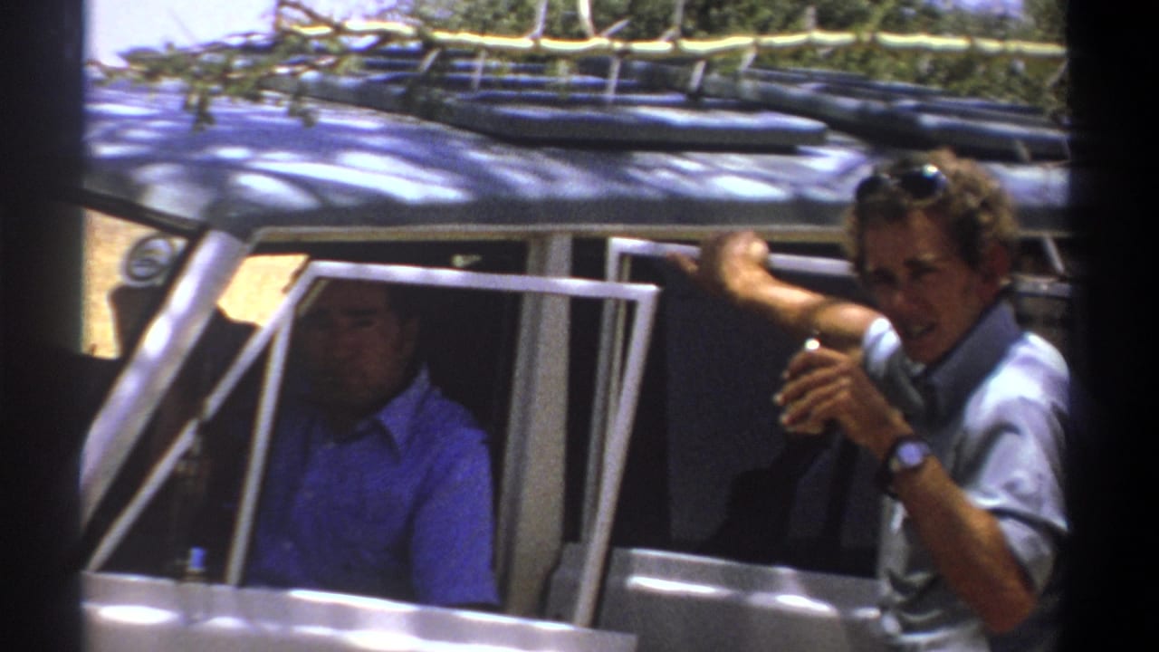 Man beside the car gestures while speaking to the passenger inside.