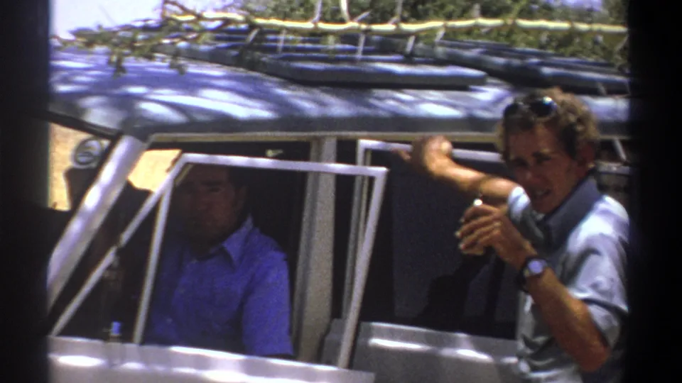A man with sunglasses on his head gestures beside the vehicle while talking to a seated passenger in blue, with roof-rack branches above.