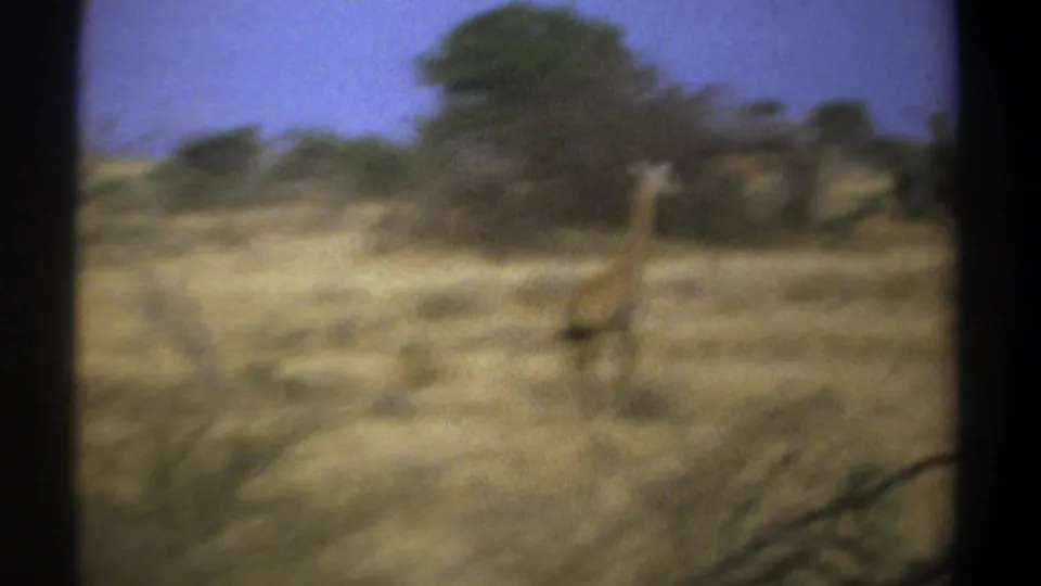 Blurred 1969 Kenya 8mm frame showing a tall animal in dry grass with trees beyond, likely during a quick handheld move.