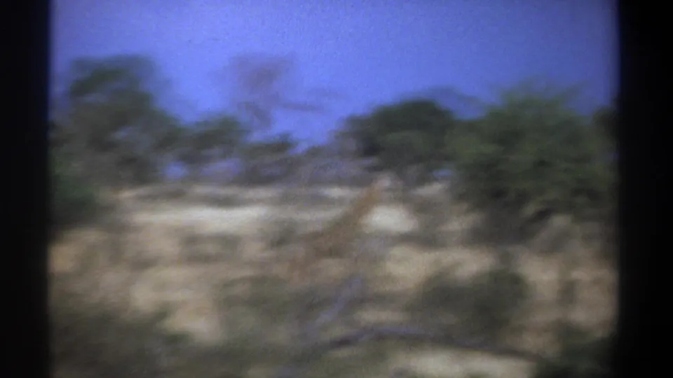 Soft 1969 Kenya 8mm frame showing distant giraffes moving through dry grassland with scattered trees under blue sky.