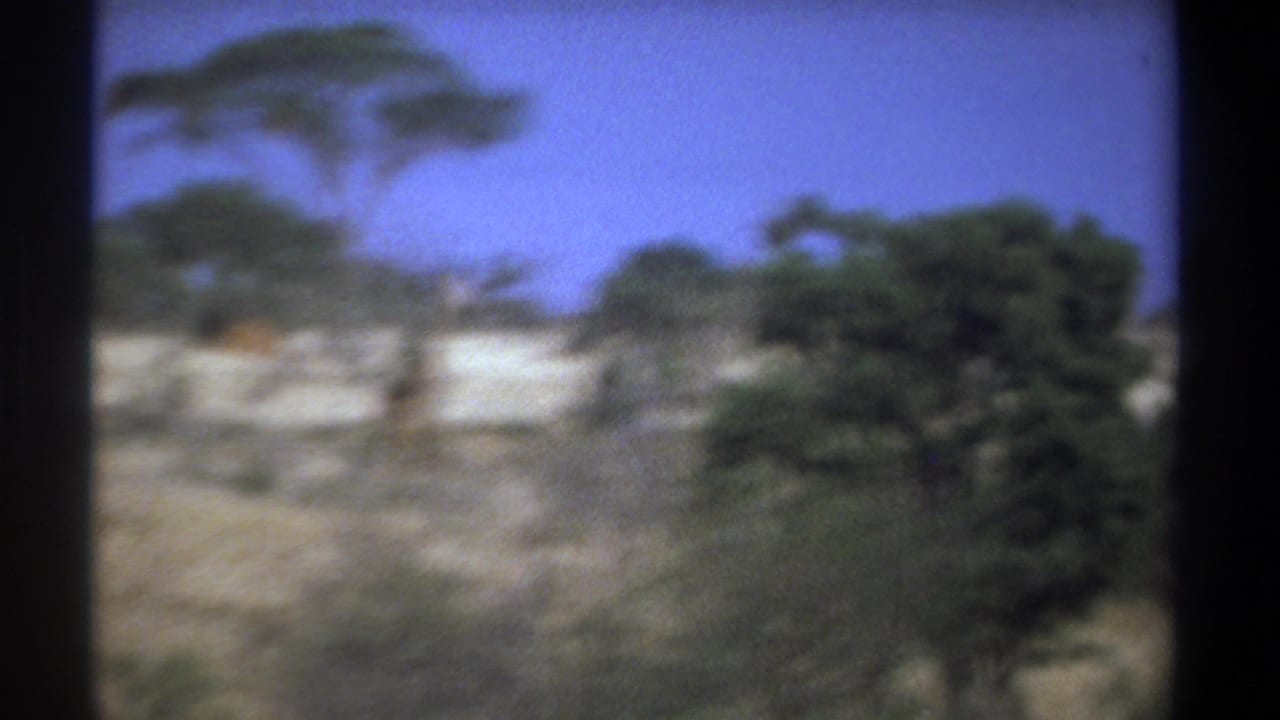 Soft-focus dry savanna with scattered trees and blue sky, framed by dark 8mm gate edges.