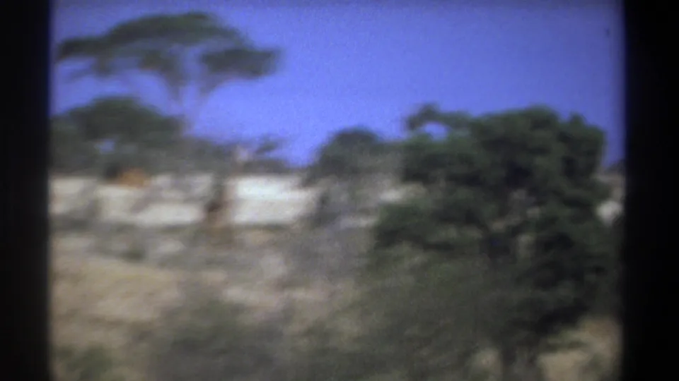 1969 Kenya 8mm frame showing dry grassland, scattered acacia-like trees, blue sky, and dark film borders.