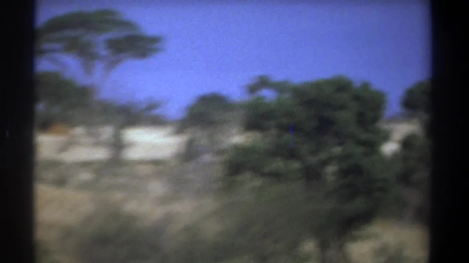 1969 Kenya 8mm view of arid grassland and scattered trees, with visible grain, soft focus, and gate-edge borders.