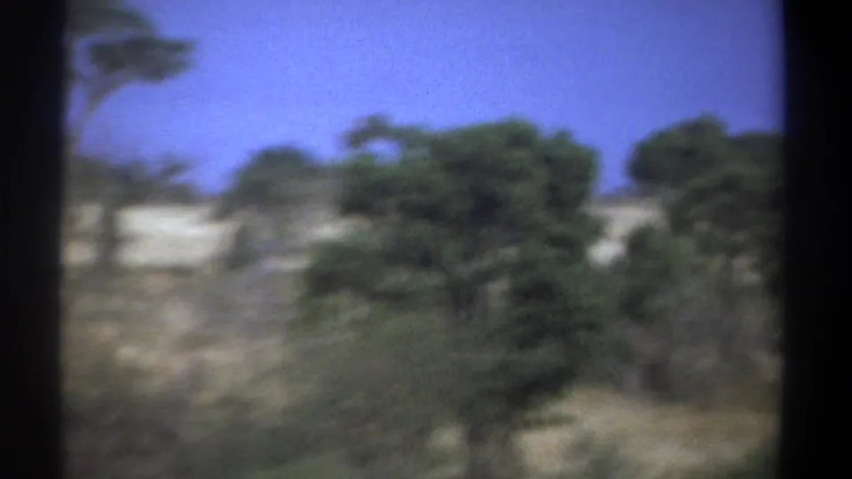1969 Kenya 8mm frame showing a blurred handheld view of dry savanna, green shrubs, and scattered trees under blue sky.