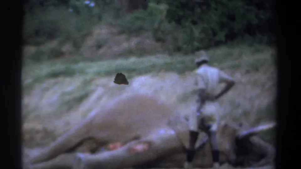 A ranger in a light uniform and pith-style helmet stands beside a dead elephant in the Kenya 1969 home-movie footage.