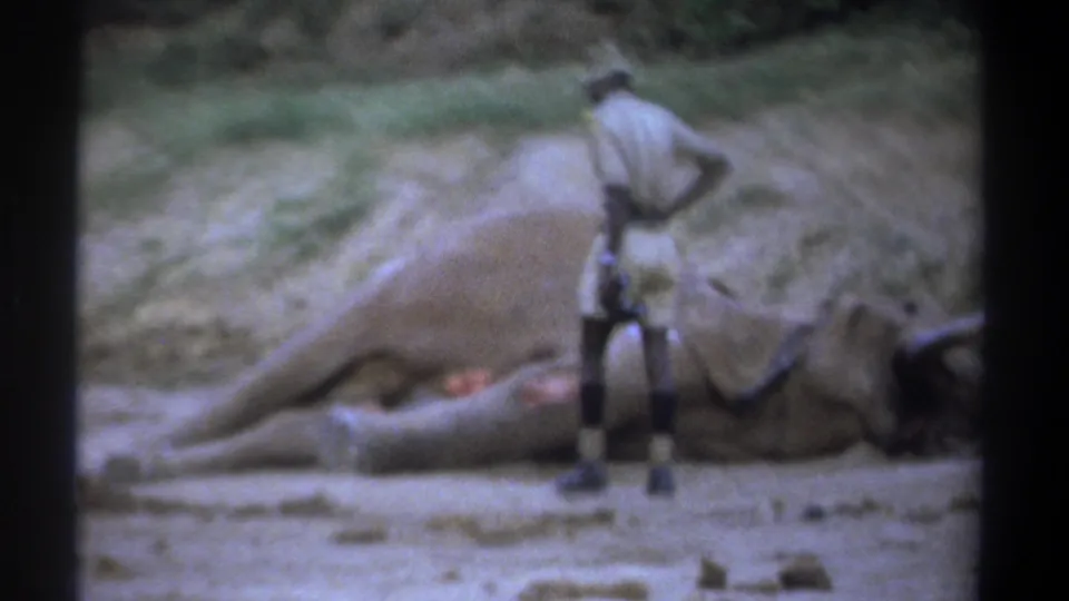 The ranger is filmed from behind while standing near the dead elephant, with tusks and rough ground visible in the 1969 Kenya scene.