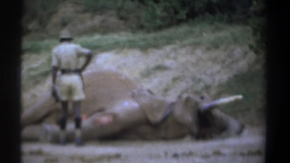 Kenya 1969 8mm frame showing a man in safari clothing near a motionless elephant marked with red patches.