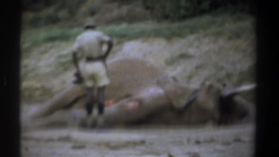 Kenya 1969 frame with a man standing near the body of an elephant in a sparse outdoor landscape.