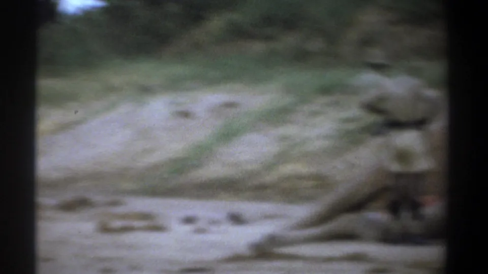Soft 8mm frame from Kenya showing a motionless elephant partly cropped at the right edge of the frame.