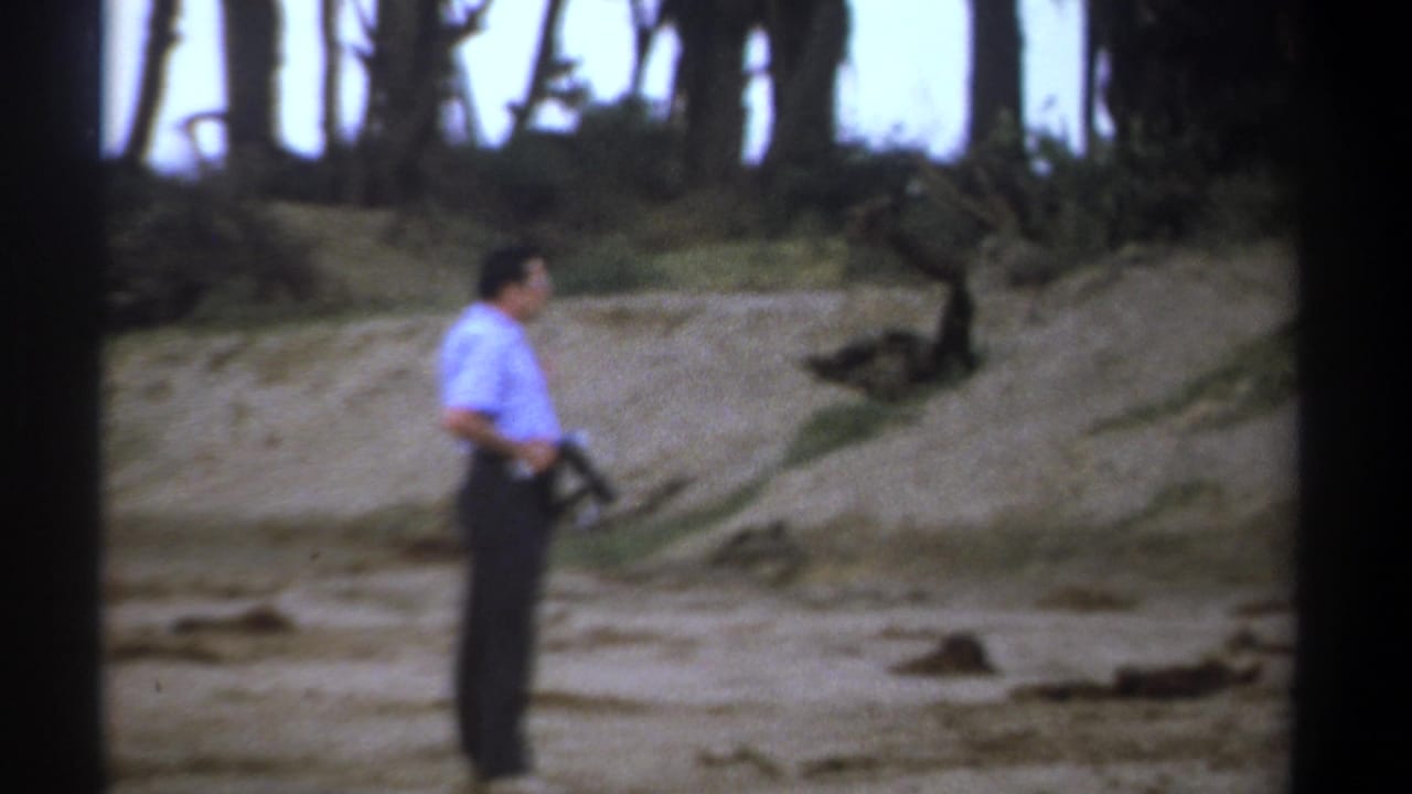 Man in a light blue shirt stands on a dusty roadside holding a rifle near trees.