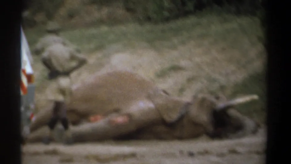 A dead elephant lies beside the road in Kenya 1969 safari footage while a khaki-clad figure stands near its body.
