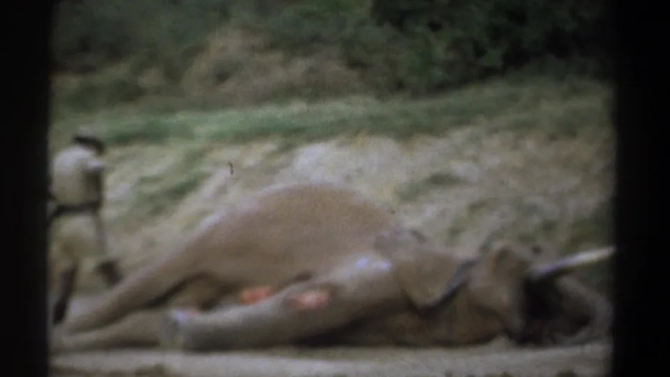 1969 Kenya 8mm frame with a motionless elephant in the foreground and a light-uniformed man near its rear legs.