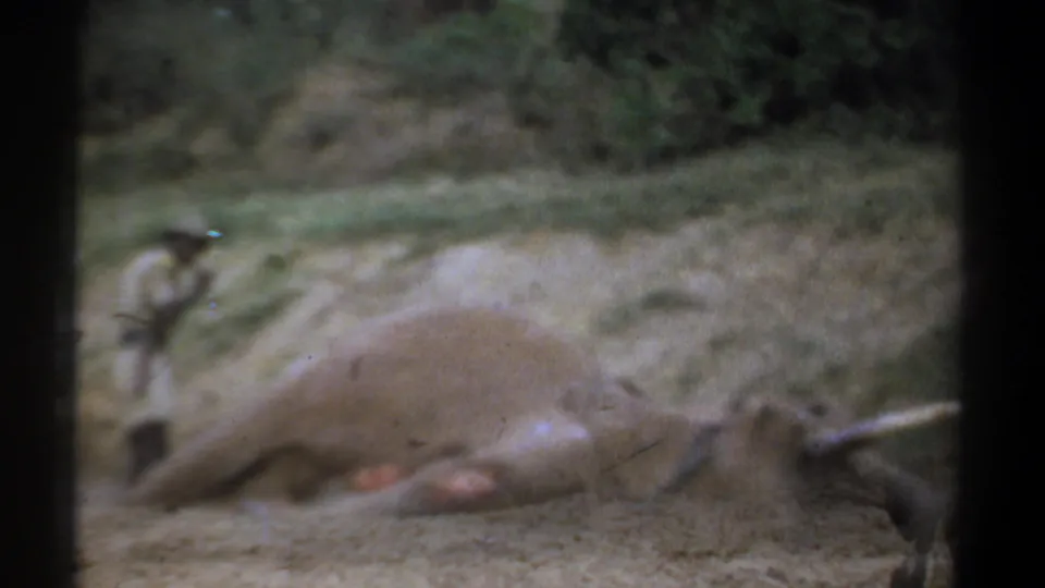 Soft 1969 Kenya 8mm frame showing a dead elephant on dusty ground, partly obscured by blur and dark foreground framing.