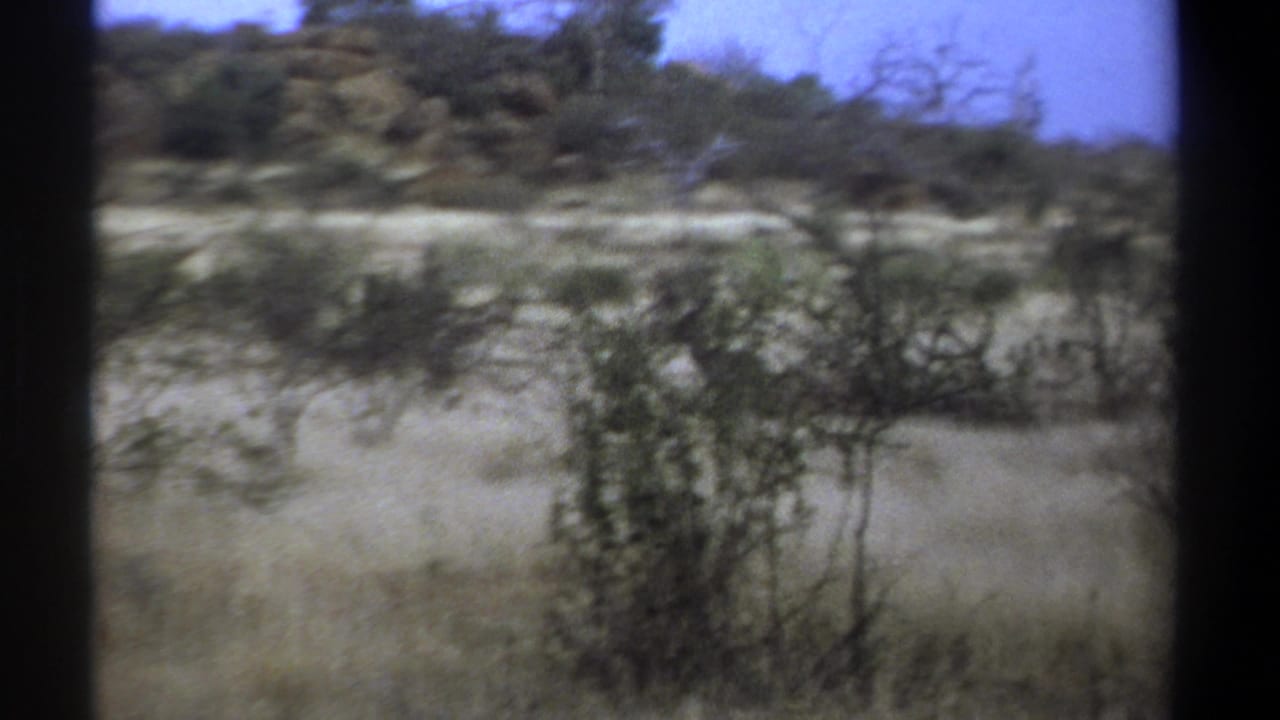Soft 8mm view of dry savanna grass, scrub, trees, and rocky ground under blue sky.