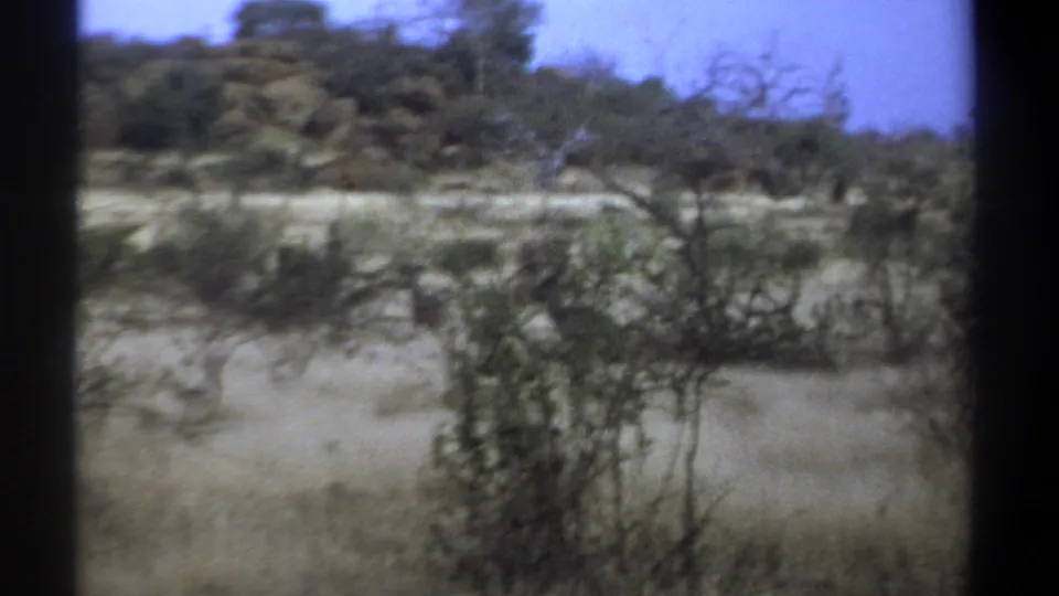 1969 Kenya home-movie frame of savanna brush, trees, and pale rock or dry ground, with visible 8mm frame edges.