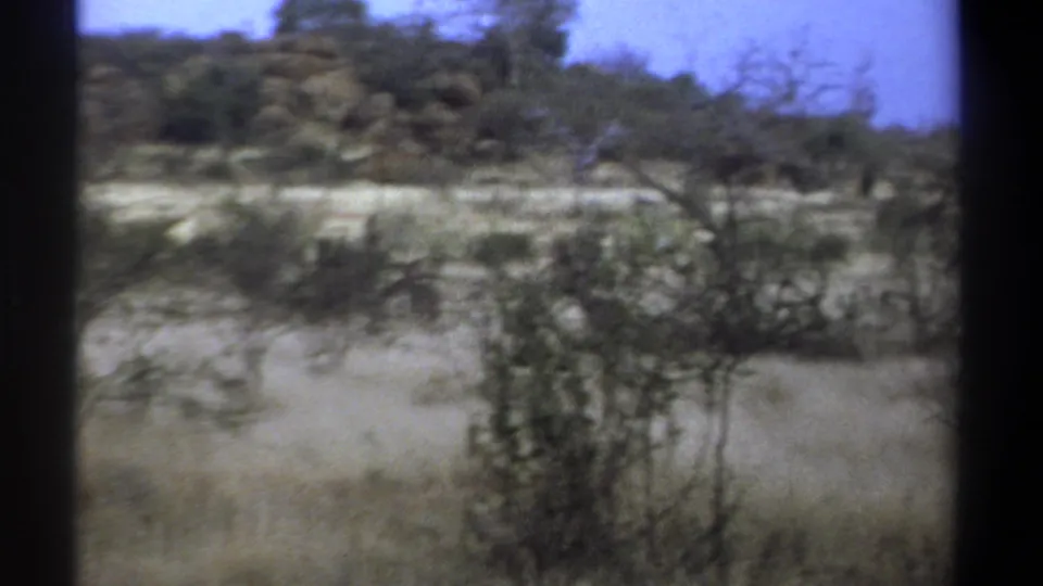 1969 Kenya 8mm frame with motion-blurred dry grass, scrub, trees, and rocky terrain from a passing vehicle.