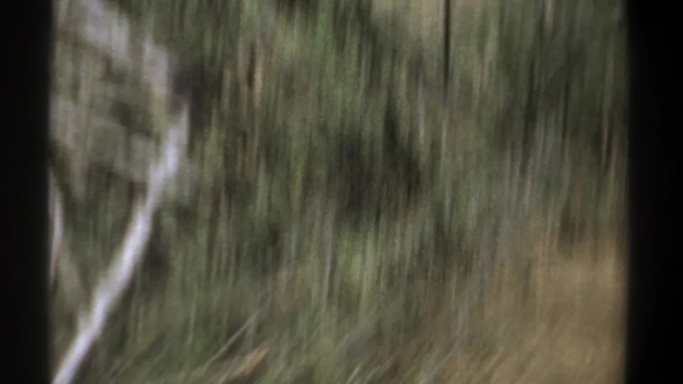 1969 Kenya home-movie frame with strong motion blur across tall grass, brush, and a pale diagonal branch or track.