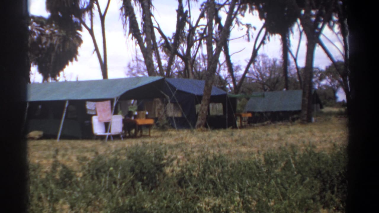Canvas safari tents among trees with chairs, a table, dry grass, and a hanging towel.