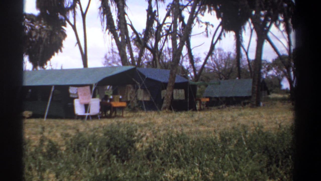 Canvas tents beneath trees with chairs and a table in dry grass.