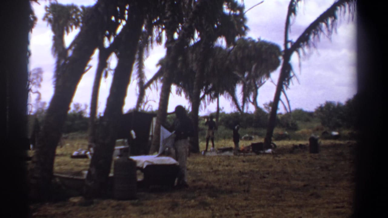 A man in light clothing stands near a white cloth and equipment beneath tall palm trees.
