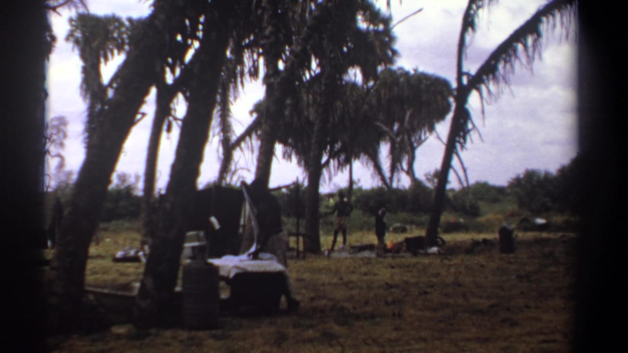 1969 Kenya 8mm frame showing palm trees, dry ground, a white sheet near containers, and distant people outdoors.