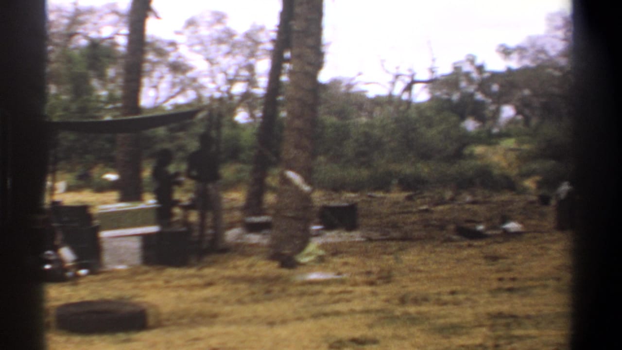 People gathered near a torn canopy and supplies in a dry wooded field.