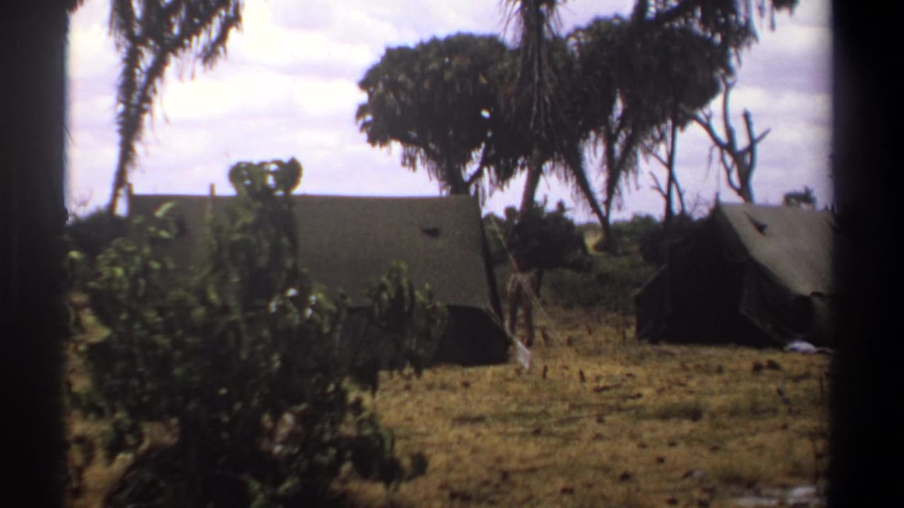 Two tents and trees in a dry campsite, partly divided by a dark vertical frame edge.