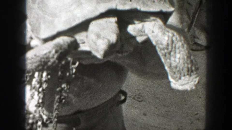 The home-movie frame shows the man holding a turtle near his torso, with the animal's patterned feet and shell edge visible.