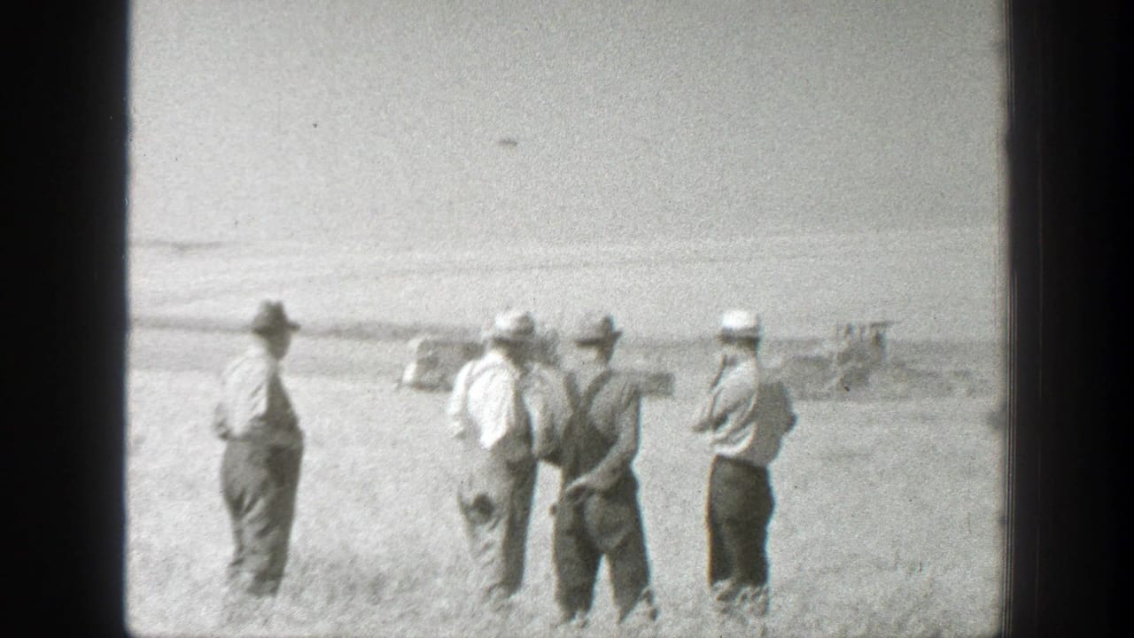 Four men in hats stand in a bright open field with distant machinery behind them.